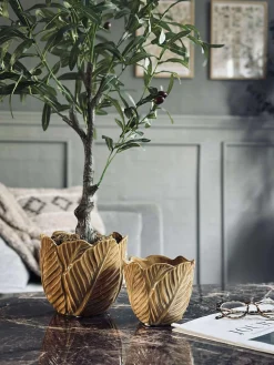 Skjuler Gylden - Flere størrelser