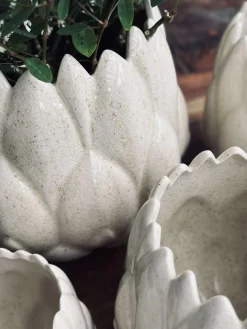 Skjuler Hvid - Flere størrelser