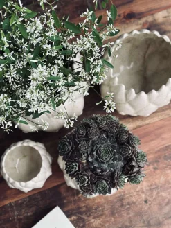 Skjuler Hvid - Flere størrelser