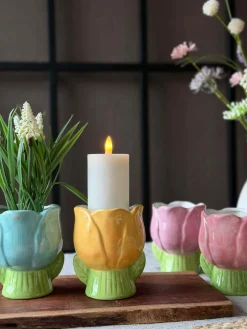 Skjuler Tulipan - Flere farver