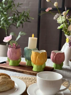 Skjuler Tulipan - Flere farver