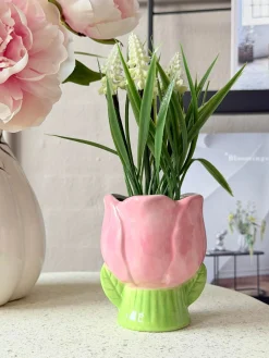 Skjuler Tulipan - Flere farver