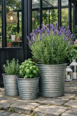 Skjuler Zink - Sæt af 3 stk.