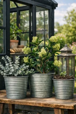 Skjuler Zink - Sæt af 3 stk.