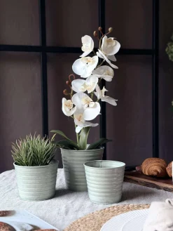 Skjuler Zink - Sæt af 3 stk.