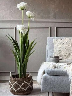 Skærmlilje 120cm - flere farver