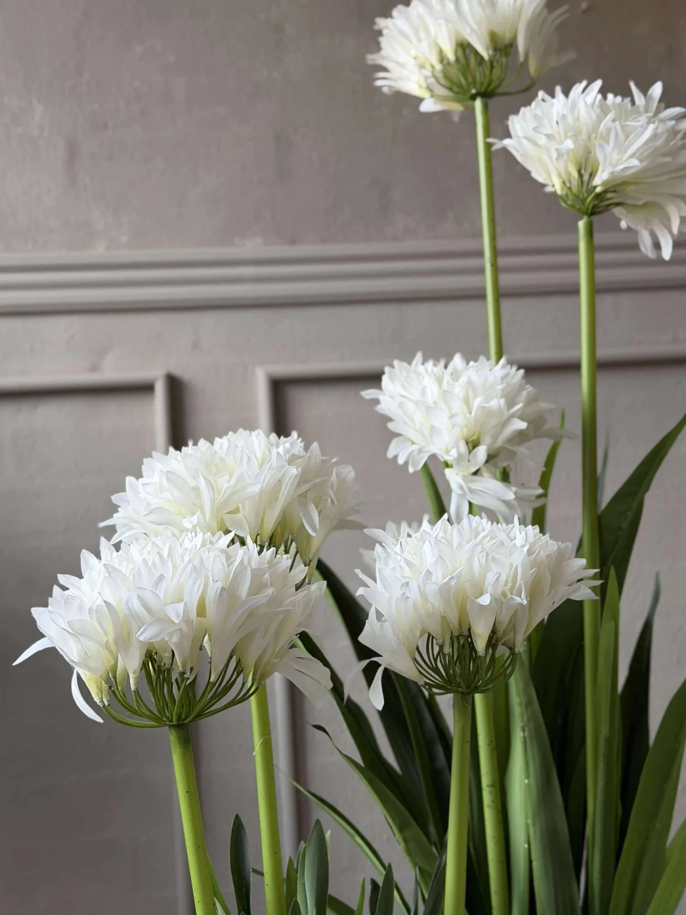 Skærmlilje 120cm - flere farver