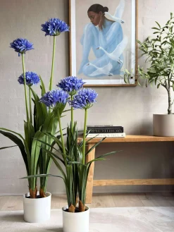 Skærmlilje 120cm - flere farver