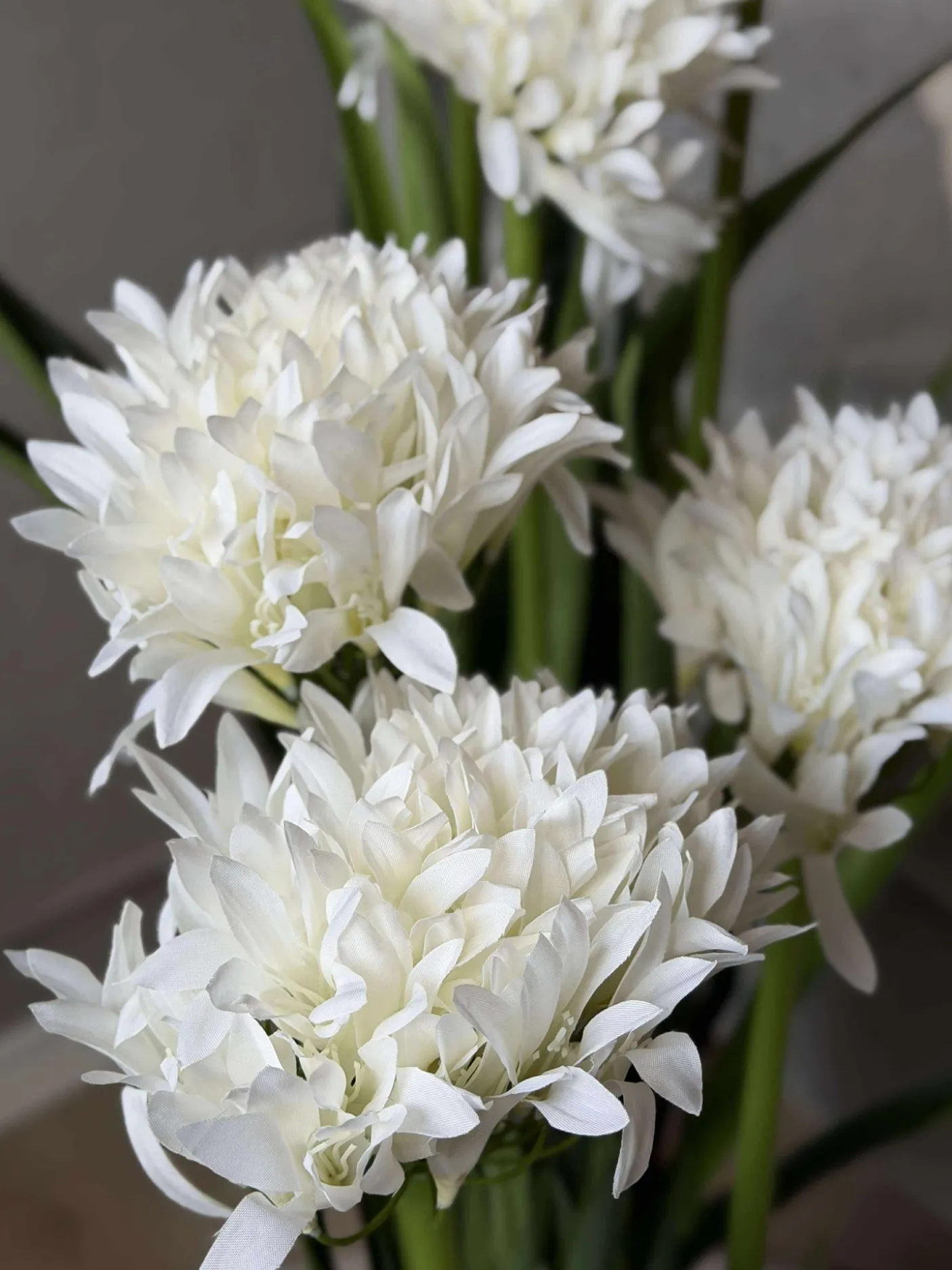 Skærmlilje 120cm - flere farver