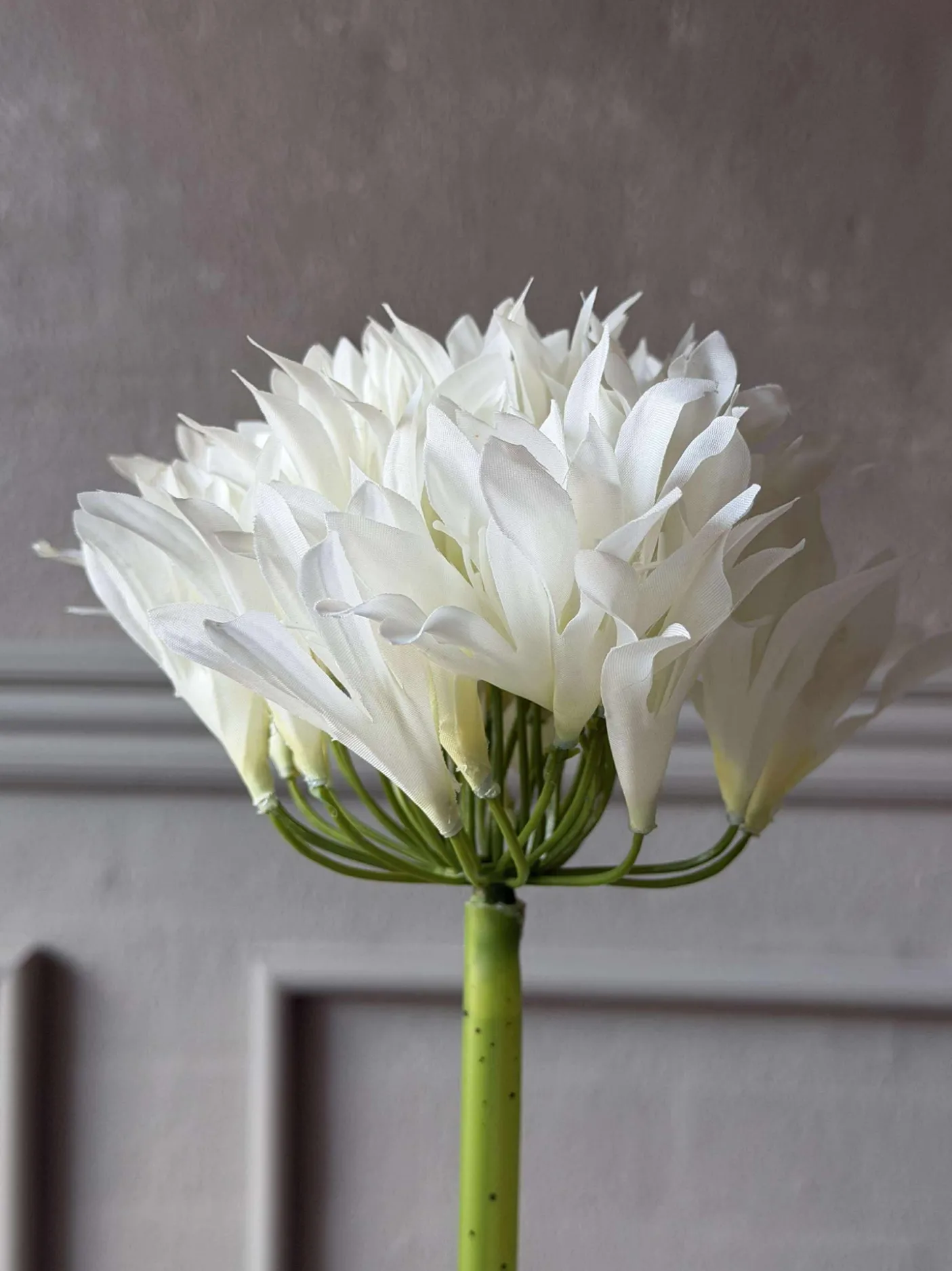 Skærmlilje 120cm - flere farver