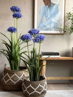 Skærmlilje 120cm - flere farver