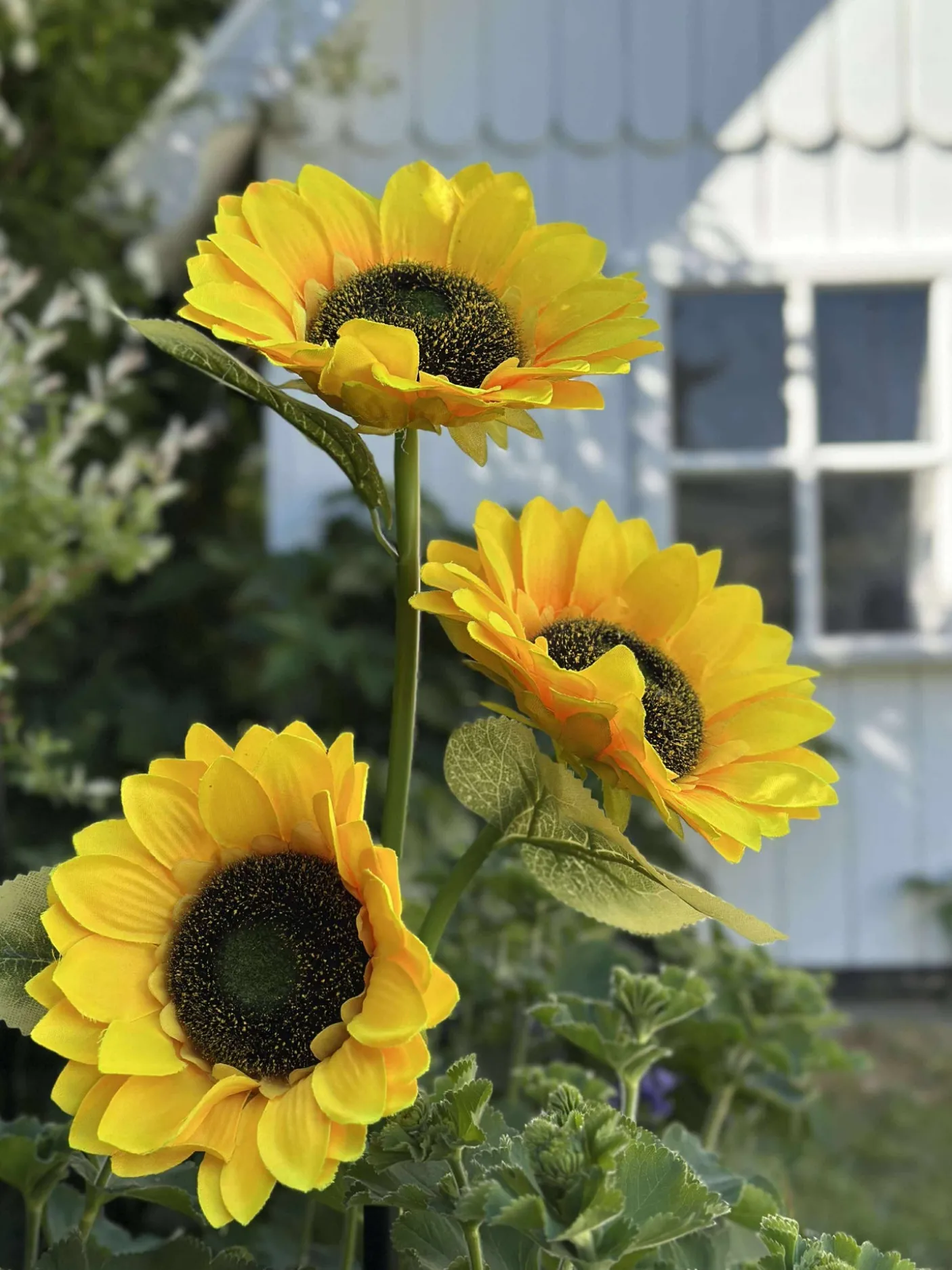 Solsikke med solceller