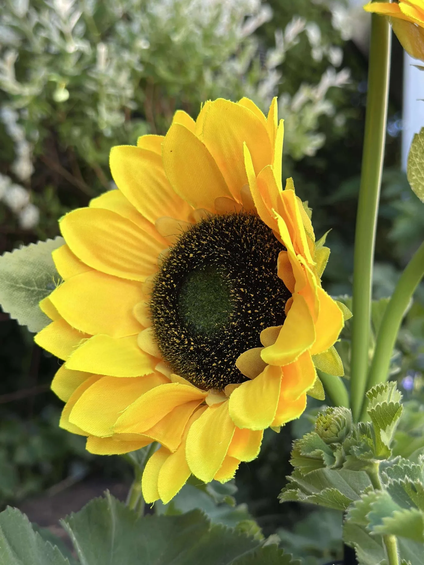 Solsikke med solceller