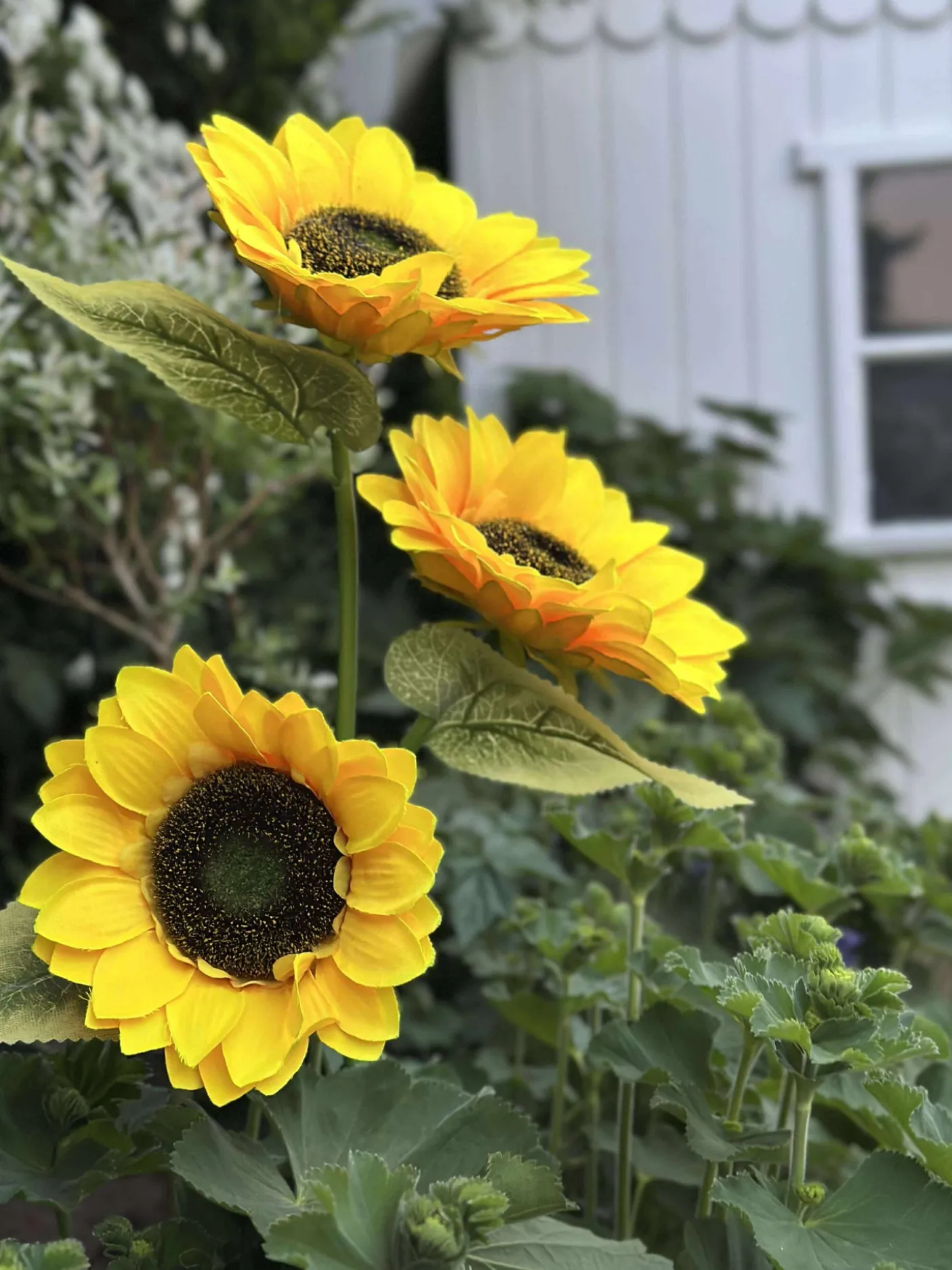 Solsikke med solceller