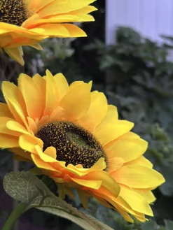 Solsikke med solceller