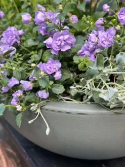 Spejlbassin / Skål dia 40cm - Recycling Grøn