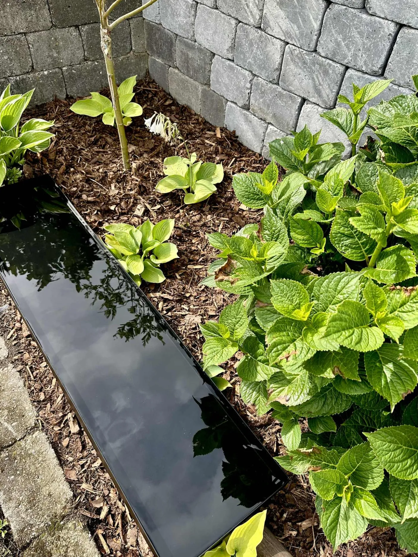 Spejlbassin Rectangle - Black