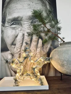 Stjerne med LED lys og gran - 40cm