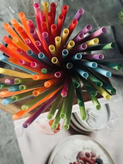 Sugerør, genanvendelige 80 stk.