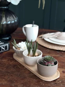 Tapas - 3 skåle og fad