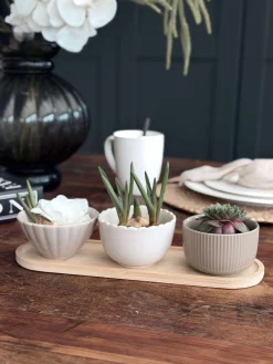 Tapas - 3 skåle og fad