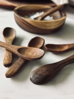 Teskeer Akacia - 6 stk.