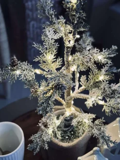 Træ med kogler og lyskæde