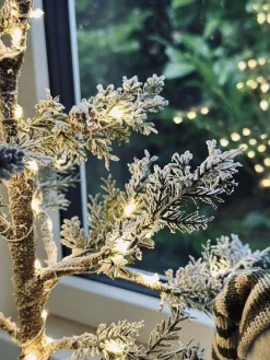 Træ med kogler og lyskæde