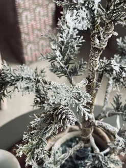 Træ med kogler og lyskæde