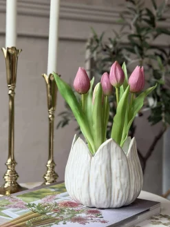 Tulipan i potte - Mørk Rosa