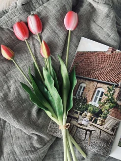 Tulipaner – Flere farver