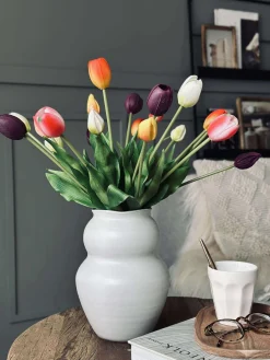 Tulipaner – Flere farver