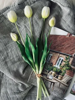 Tulipaner – Flere farver