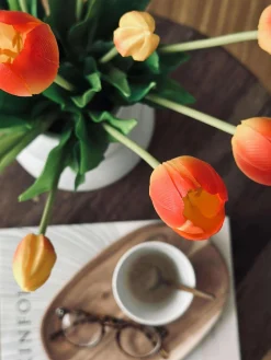 Tulipaner – Flere farver