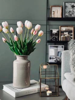 Tulipaner – Flere farver