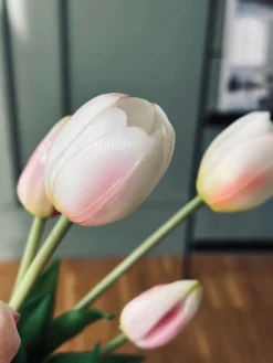 Tulipaner – Flere farver