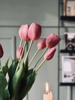 Tulipaner – Flere farver