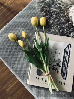 Tulipaner – Flere farver