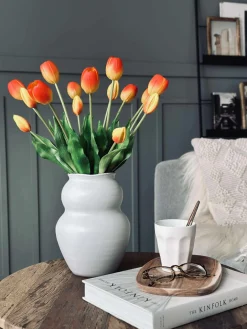 Tulipaner – Flere farver