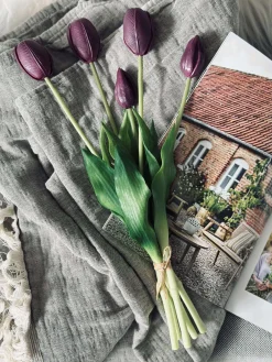 Tulipaner – Flere farver