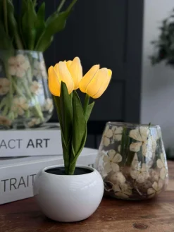 Tulipaner med lys - Hvid