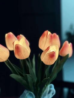 Tulipaner med lys - Lys rosa