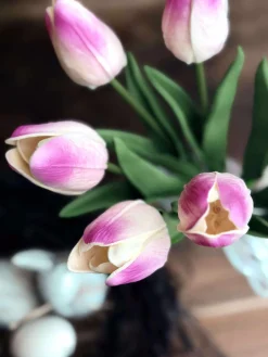 Tulipaner med lys - Lys rosa