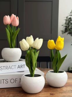 Tulipaner med lys - Rosa