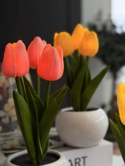 Tulipaner med lys - Rosa