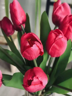 Tulipaner Silke look– Flere farver