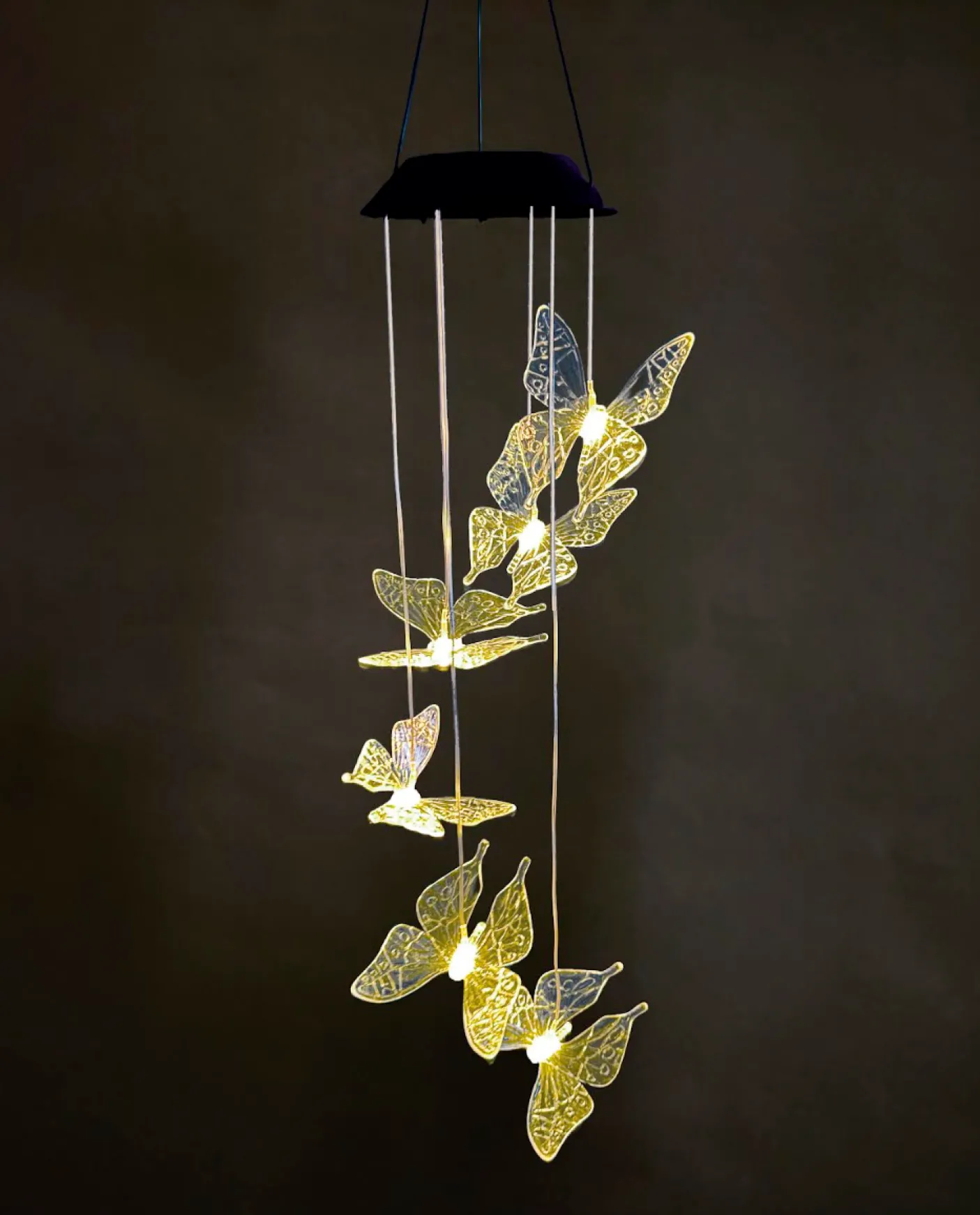 Uro med solar - Sommerfugle