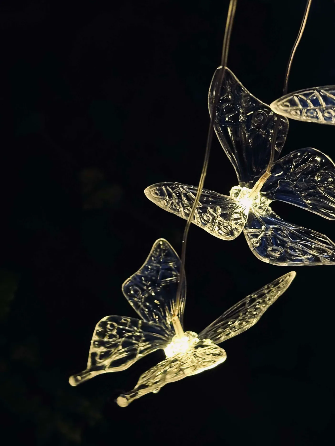 Uro med solar - Sommerfugle