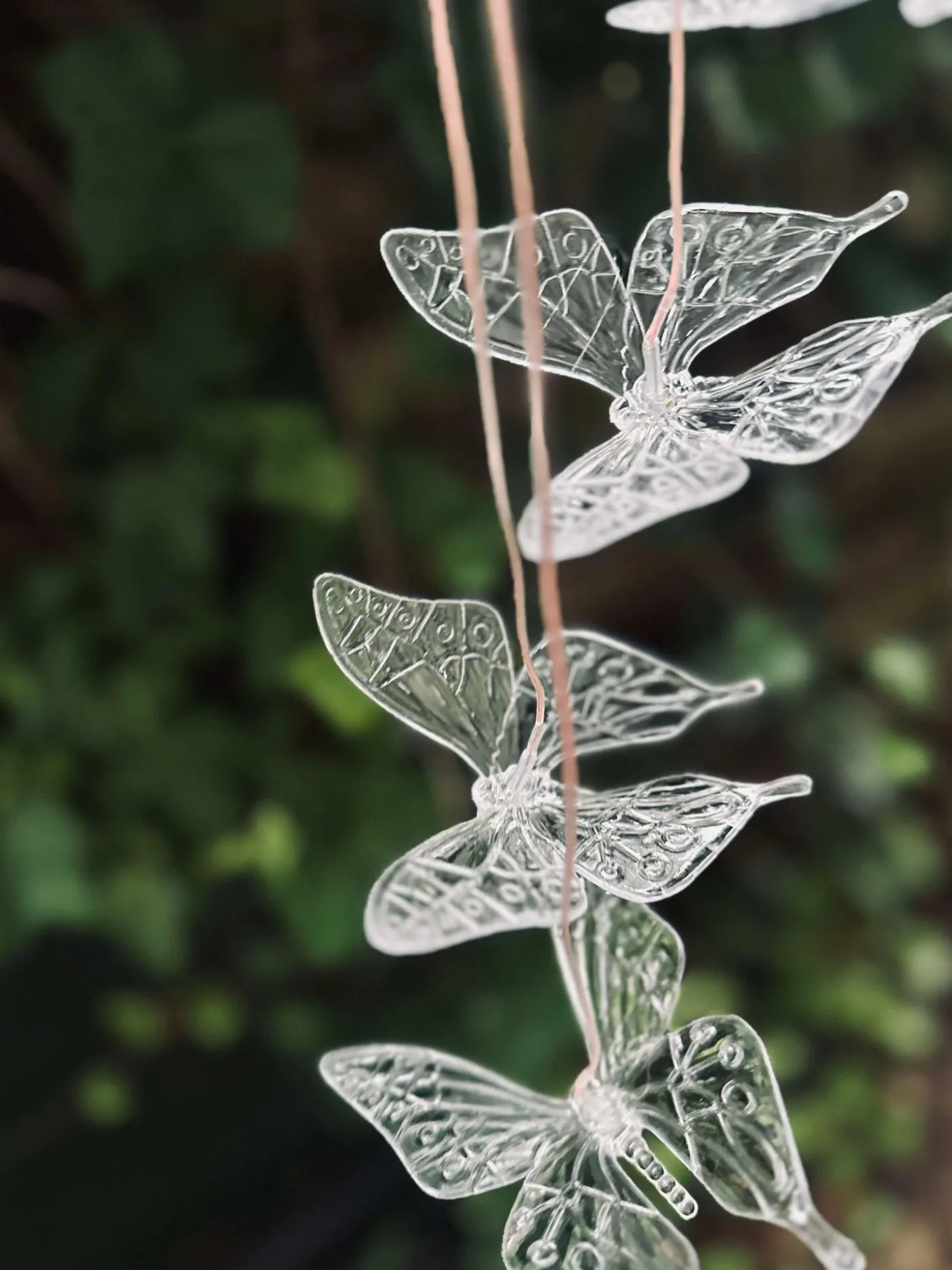 Uro med solar - Sommerfugle