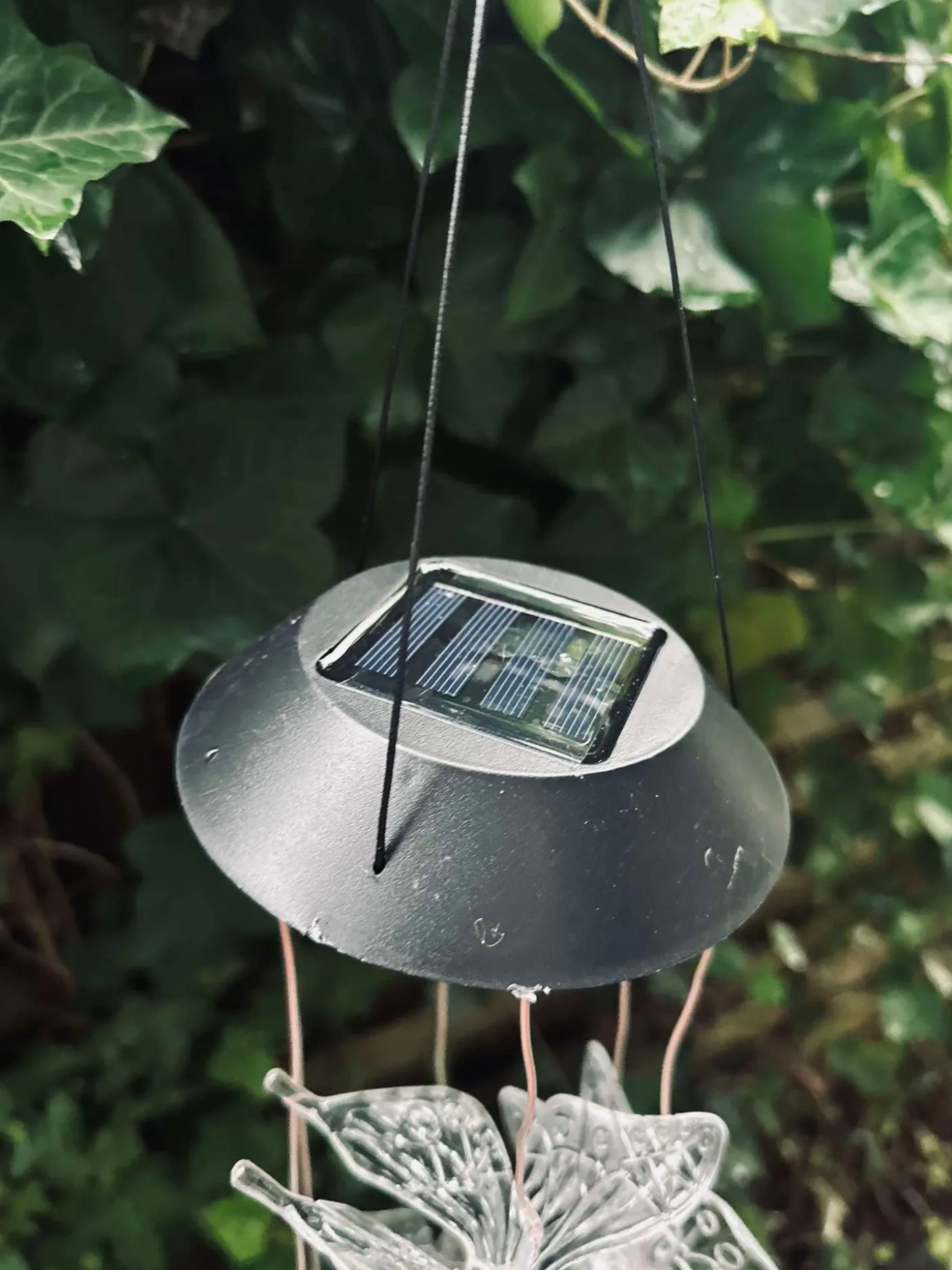 Uro med solar - Sommerfugle